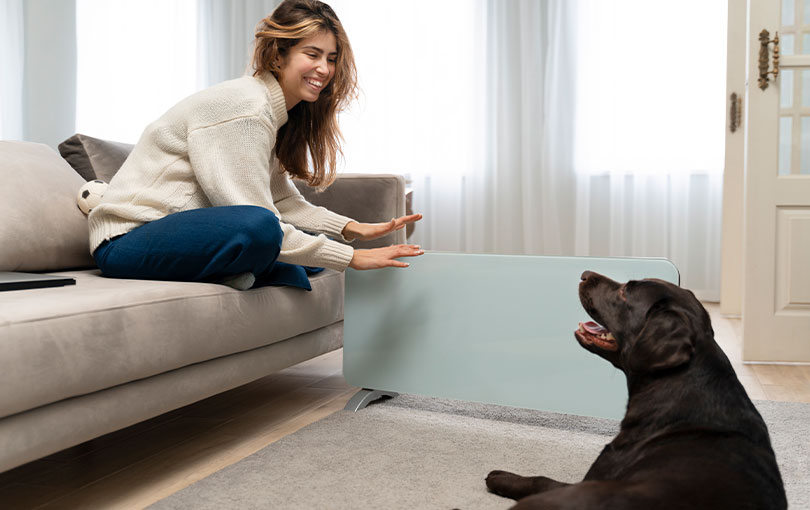 cuidados com animais domesticos apos a desinsetizaçao