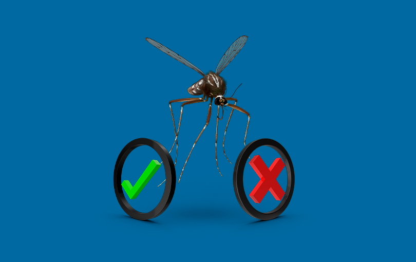 quais sao as verdades e os mitos em torno do mosquito causador da dengue