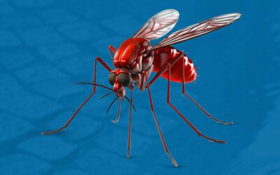 seis curiosidades sobre o mosquito da dengue que voce precisa saber 400x250 - Início