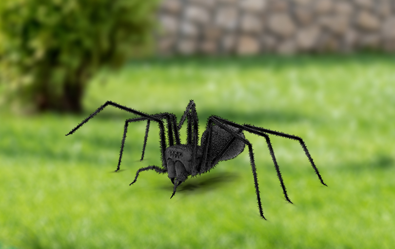 ameaca de aranhas - Como proteger o meu ambiente preferido da ameaça de aranhas?